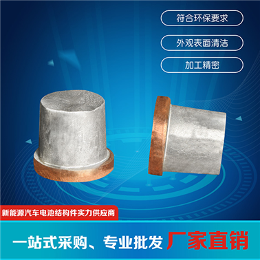 動(dòng)力電池極柱